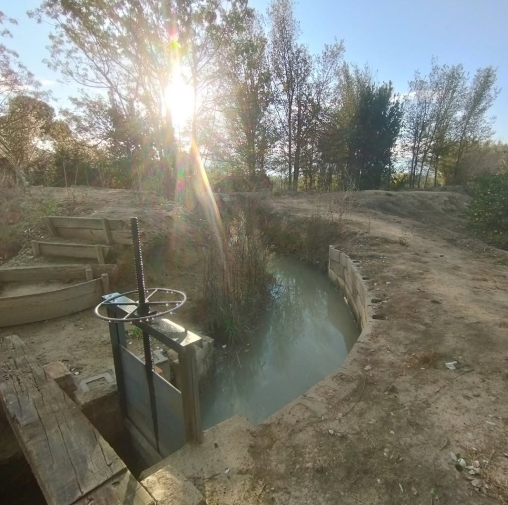 Las tandas del agua